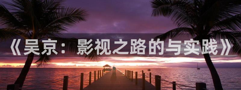 草莓机：《吴京：影视之路的与实践》