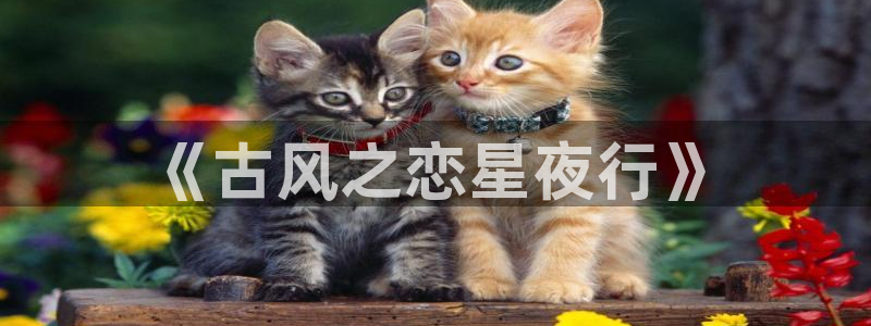 91草莓视频：《古风之恋星夜行》